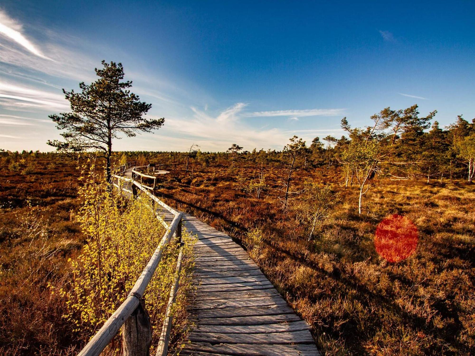 Feriendorf Wasserkuppe Abtsroda 외부 사진